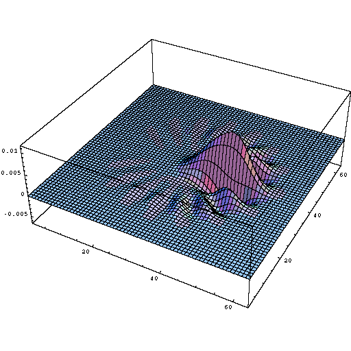 different orientation tuned receptive field profiles in the human visual cortex